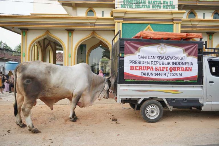 Advertorial : Bambang-Rafieq Serahkan Bantuan Sapi Dari Presiden Prabowo